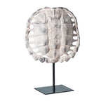 Escultura caparazón de tortuga