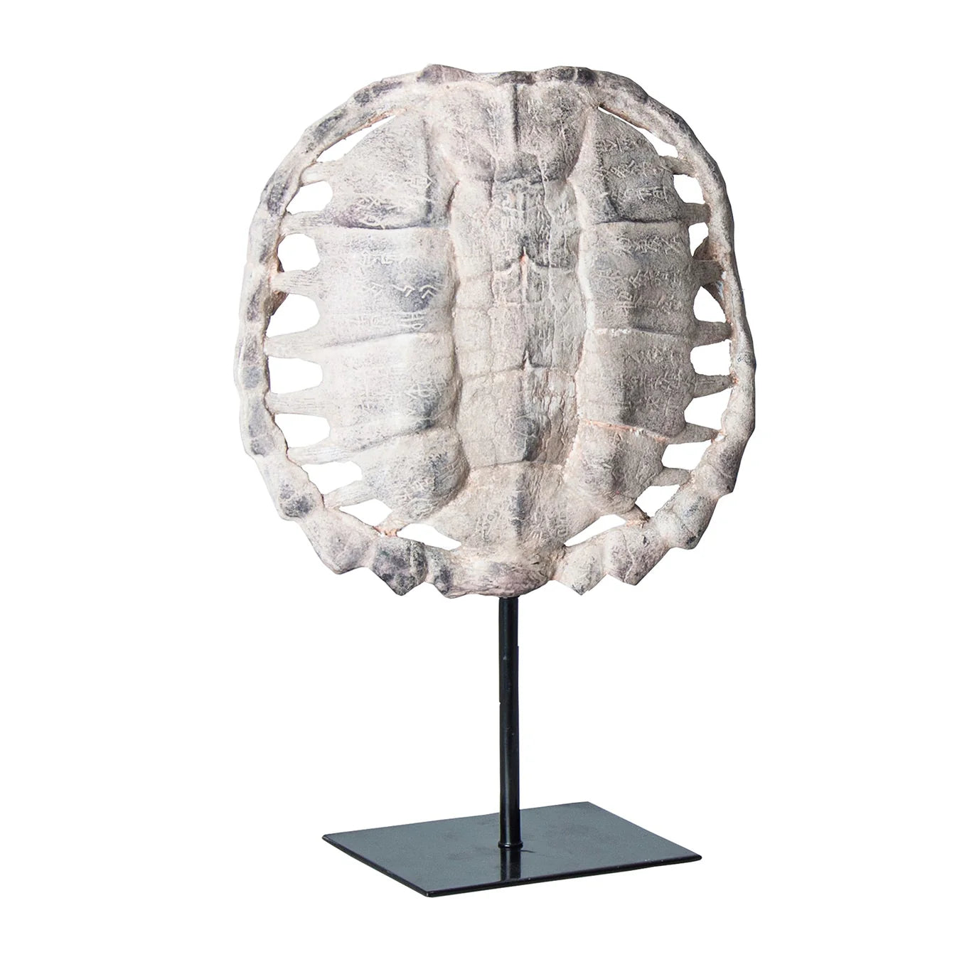 Escultura caparazón de tortuga
