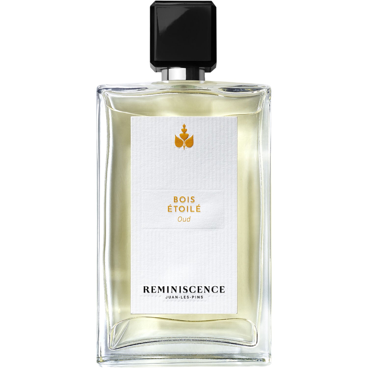 Bois Étoilé (Oud) – Eau de Parfum | 100 ml