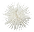 ESTRELLA DE NAVIDAD COLGANTE BLANCO ROTO