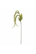 Tallo de cola de zorro, verde, flores artificiales 13 cm de diámetro x 107 cm de alto.