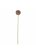 Tallo de Allium, marrón, flores artificiales D9xH70 cm