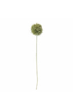 Tallo de Allium, verde, flores artificiales 13 cm de diámetro x 63 cm de alto.