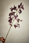 Tallo de arce, morado, flores artificiales 12 cm de diámetro x 92 cm de alto.