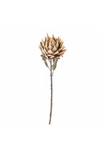 Tallo de protea, Naturaleza, Flores artificiales 20 x 76 cm