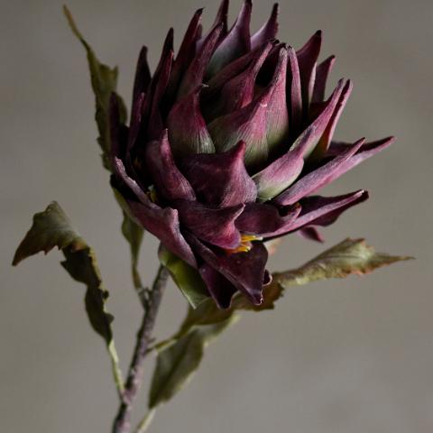 Tallo de protea, morado, flores artificiales 20 x 76 cm BLO
