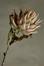 Tallo de protea, Naturaleza, Flores artificiales 20 x 76 cm