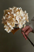 Tallo de hortensia, Naturaleza, Flores artificiales 20 cm de diámetro x 65 cm de alto