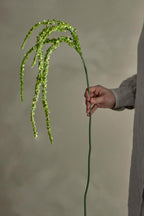 Tallo de cola de zorro, verde, flores artificiales 13 cm de diámetro x 107 cm de alto.