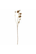 Tallo de amapola, marrón, flores artificiales 16 x 104 cm (diámetro x altura) BLO